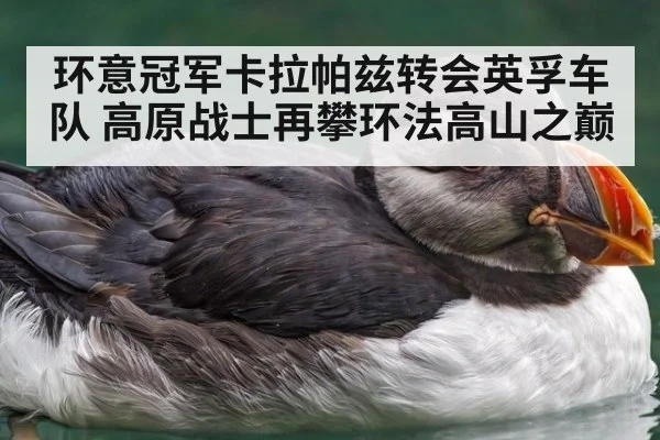 环意冠军卡拉帕兹转会英孚车队 高原战士再攀环法高山之巅